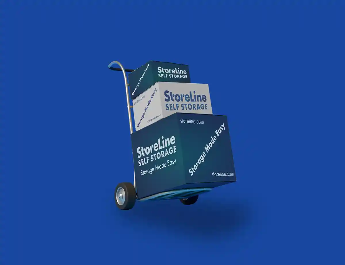 Storeline Storage Branded Boxes Blue