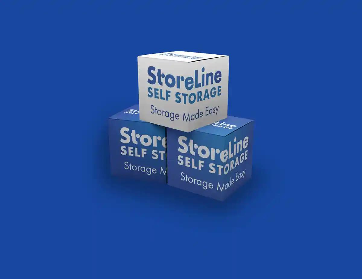 Storeline Storage Branded Boxes